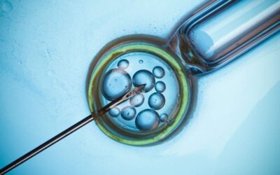 Fertility Preservation: How Acupuncture Can Powerfully Support Egg Freezing