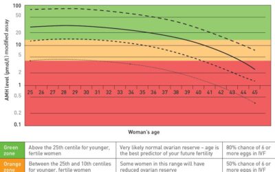 Understanding AMH Levels: A Key Marker of Fertility