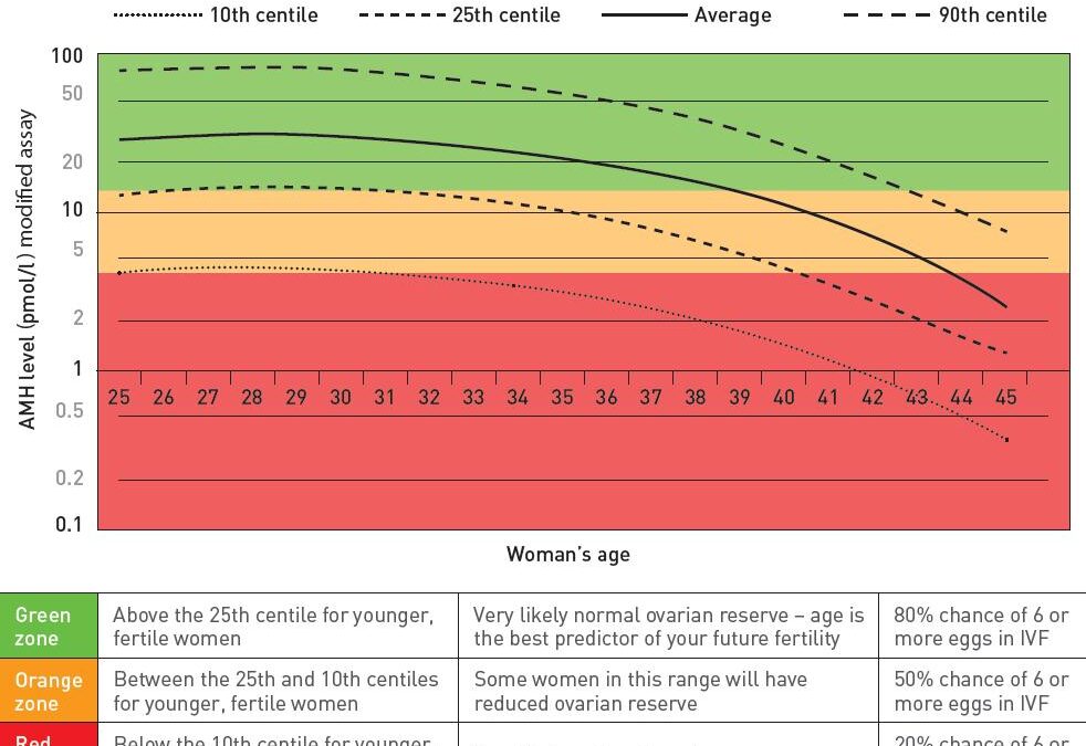 Understanding AMH Levels: A Key Marker of Fertility