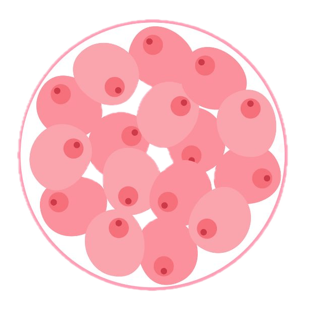 fertility-sperm-egg