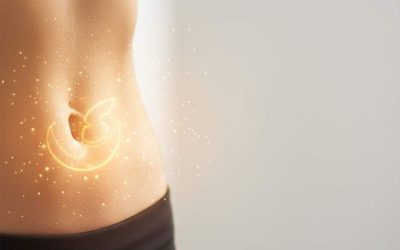 Fat Is Not the Enemy: Understanding Fat’s Role in Hormones, Energy & Protection